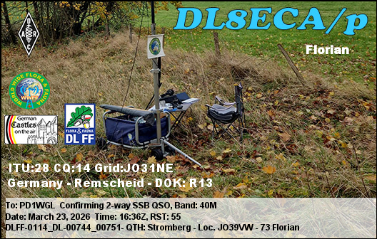 _cfimg-5167861981084658060-phone