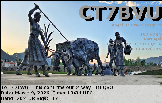 _cfimg2360265438416559925-dig